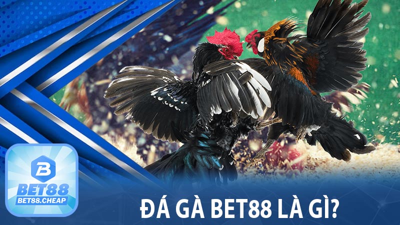 Đá gà Bet88 là gì?