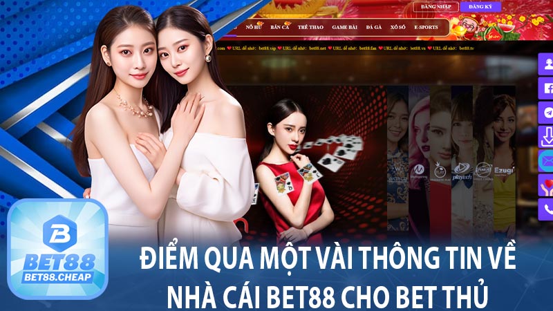 Điểm qua một vài thông tin về nhà cái Bet88 cho bet thủ 